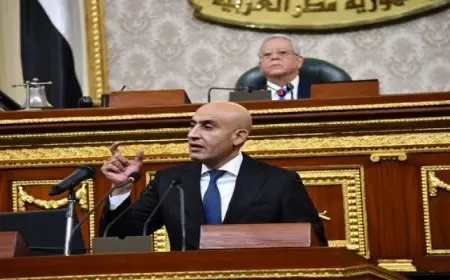 أمام مجلس الشيوخ .. وزيرالتعليم يعرض رؤية وخطة الوزارة لتطوير المنظومة التعليمية