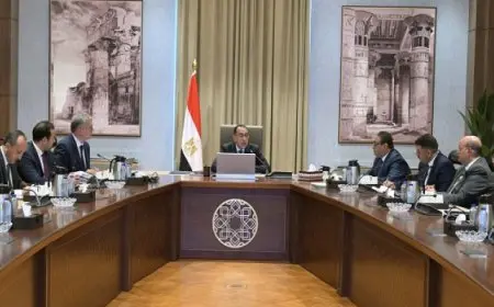 بال .. رئيس الوزراء يتابع موقف أنشطة البحث والاستكشاف عن الثروات الطبيعية والمعادن النفيسة