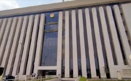 ترحيب واسع من مجتمع الشركات الناشئة والمؤسسات الدولية بتشكيل المجموعة الوزارية لريادة الأعمال