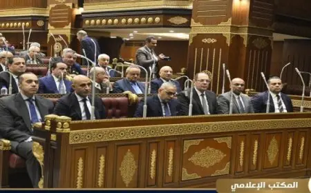 “وزير الشئون النيابية”: الحكومة حريصة على تنفيذ توصيات الحوار الوطني