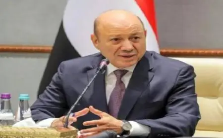 رئيس مجلس القيادة الرئاسي اليمنى يطالب بوقف العدوان على غزة وإدخال المساعدات