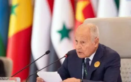 أبو الغيط: سنتحرك نحو تجميد عضوية إسرائيل بالأمم المتحدة