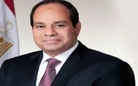 الرئيس السيسي يعود إلى أرض الوطن بعد مشاركته في القمة العربية الإسلامية بالرياض