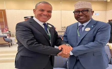 وزير الخارجية والهجرة يلتقي مع وزير خارجية الصومال في الرياض