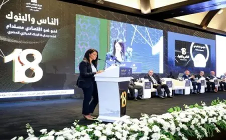 المشاط : النظام المالي العالمي الحالي لا يُلبي متطلبات الدول النامية والناشئة