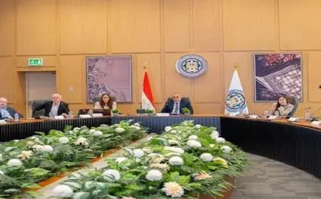 “المالية” تطرح رؤية مصر حول سوق سندات الأفراد وتوسيع قاعدة المستثمرين