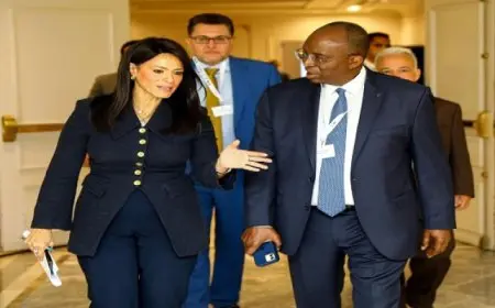 وزيرة التخطيط تفتتح ورشة عمل حول تطوير مشروعات الطاقة المتجددة والمستدامة بمنطقة خليج السويس