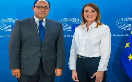 السفير المصري في بروكسل يلتقي مع رئيسة البرلمان الأوروبي