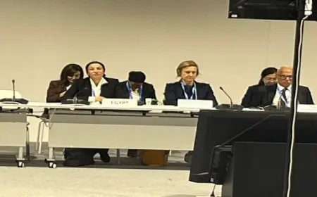 خلال مشاركتها في COP29 بأذربيجان: وزيرة البيئة تشارك في الجلسة الخاصة بمناقشات تمويل المناخ