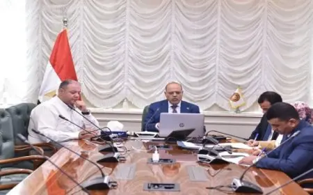 وزير العمل يوجه بأهمية عقد لقاءات دورية مع الجاليات المصرية لتوعيتهم بحقوقهم وواجباتهم