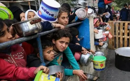 الأمم المتحدة : أكثر من 50 ألف طفل بغزة بحاجة لعلاج بسبب سوء التغذية