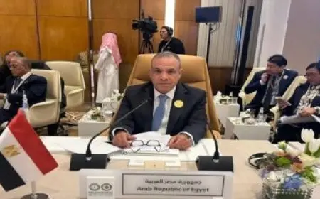 وزير الخارجية يستعرض مع رئيس النواب اللبناني الاتصالات المصرية لوقف إطلاق النار في لبنان وغزة