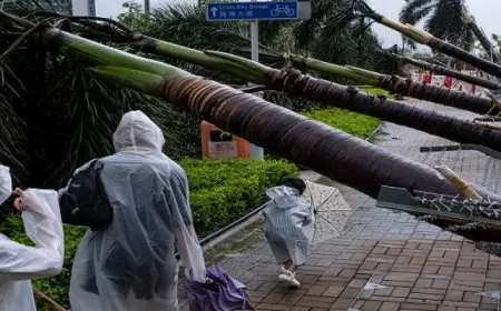 إغلاق المدارس والشركات في هونج كونج مع اقتراب وصول العاصفة الاستوائية “توراجي”