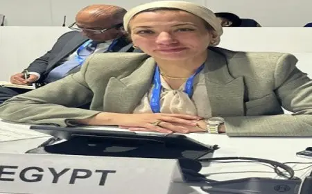 وزيرة البيئة تشارك فى اجتماع المائدة المستديرة رفيعة المستوى بمؤتمر الاطراف للتغيرات المناخية بأذربيجان