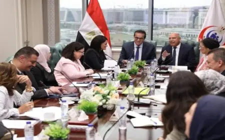 نائبا رئيس الوزراء ووزيرة التخطيط يناقشون التمكين الاقتصادي للمرأة ضمن الاستراتيجية الوطنية للسكان