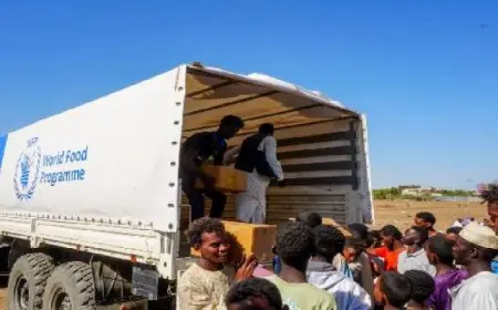 “الغذاء العالمي”: أسواق قطاع غزة بحالة مزرية والأسعار وصلت مستويات قياسية