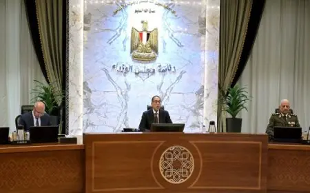 خلال اجتماع الحكومة.. مدبولي يوجه بتفعيل أطر التعاون مع أذربيجان في مجالي البترول والصحة