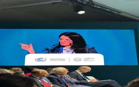 المشاط من أذربيجان: احتياجات التمويل المناخي تتزايد والنظام المالي الحالي لم يُلبِّ متطلبات الدول النامية والناشئة