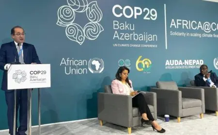 كجوك من أذربيجان: نتطلع لشراكة من المؤسسات الدولية لتعزيز الاستثمار بمجالات الطاقة والمياه والأمن الغذائي