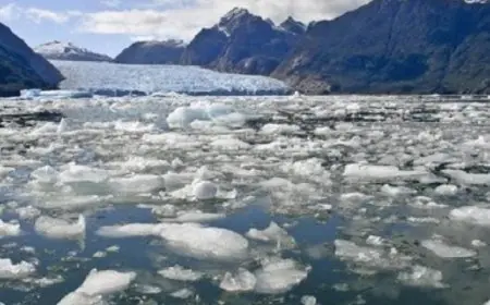 اكتشاف نظام بيئي كامل يعود إلى 280 مليون سنة بجبال الألب الإيطالية نتيجة ذوبان جليدي