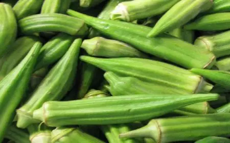 ماء البامية تساعد فى إنقاص الوزن وخفض نسبة السكر