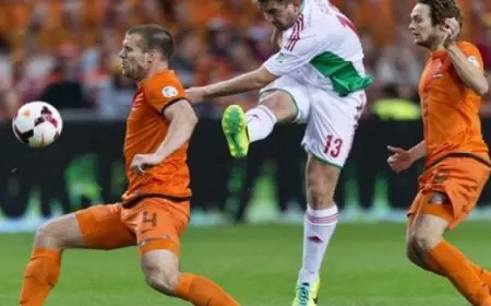 مواجهة حاسمة بين هولندا والمجر لحسم التأهل في دوري الأمم الأوروبية