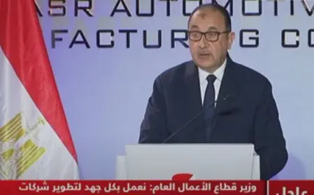 وزير قطاع الأعمال: إعادة إحياء “النصر للسيارات” لحظة تاريخية