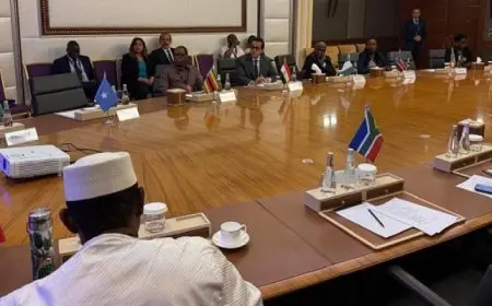 وزير الصحة يشارك في المائدة المستديرة الوزارية للمركز الأفريقي لمكافحة الأمراض والوقاية منها