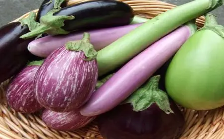 فوائد الباذنجان لصحة الجلد والعضلات والعظام