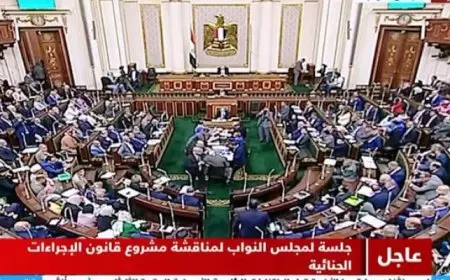 مجلس النواب يوافق مبدئيا على قانون «لجوء الأجانب»