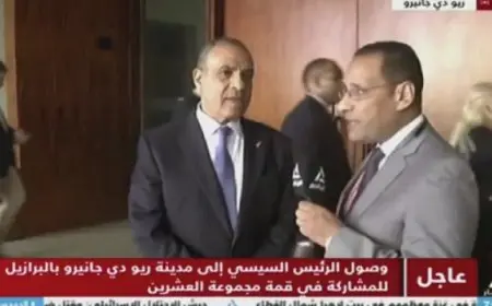 وزير الخارجية للنيل للأخبار: شراكات استثمارية بين مصر والبرازيل في قمة العشرين