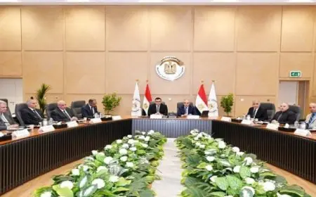 وزيرا الإسكان والري يبحثان عدداً من الموضوعات المشتركة وسبل تعزيز التعاون بين الوزارتين