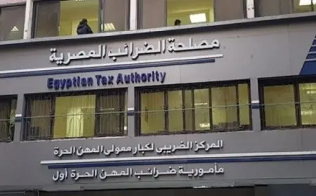 الضرائب: الأنظمة الضريبية المميكنة مؤمنة بالكامل ولم تتعرض لأي اختراق إلكتروني