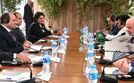 الرئيس السيسي يلتقي نظيره البرازيلي دا سلفا على هامش قمة العشرين المنعقدة بريو دي جانيرو