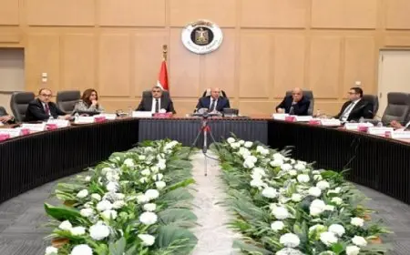 وزير الصناعة يدعو لزيادة قاعدة تصنيع المكون المحلي بقطاع السيارات