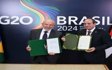 مصر والبرازيل تقرران تعزيز الحوار وتكثيف العلاقات الدبلوماسية