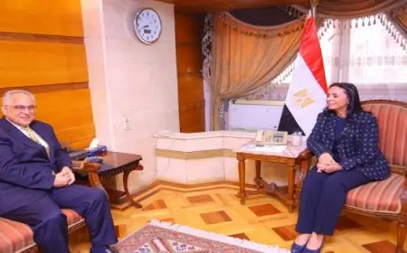 وزيرة التضامن ورئيس اللجنة البارالمبية يبحثان تعزيز سبل التعاون المشترك