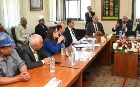 وزير الصناعة: حل كافة مشكلات شركة النصر للمسبوكات وإعادة تشغيلها بدءا من الغد