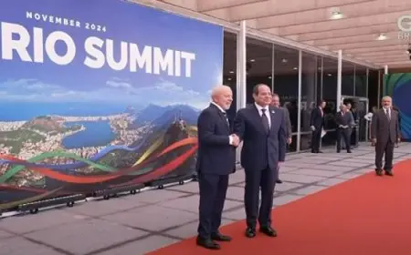 الرئيس السيسي يشارك في أعمال قمة مجموعة العشرين فى البرازيل