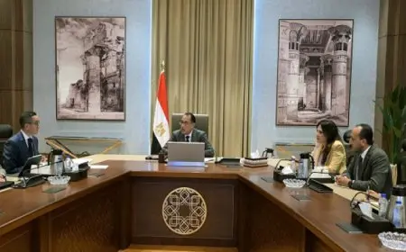 مدبولى يستعرض مع وزير الاستثمار جهود صندوق مصر السيادى لجذب الاستثمارات