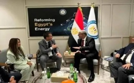 وزير البترول يبحث مع مؤسسة التمويل الدولية سبل تعزيز التعاون المشترك