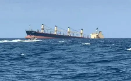 الحوثيون يرسلون رسائل إلكترونية تحذيرية إلى مالكي السفن الألمانية