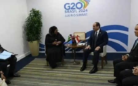 الرئيس السيسي يلتقي نظيرته التنزانية على هامش أعمال قمة مجموعة العشرين