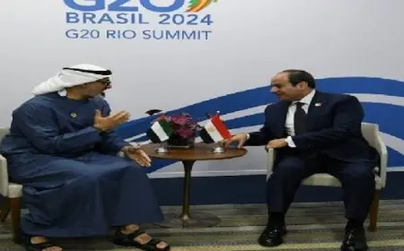 الرئيس السيسي يلتقي ولي عهد أبوظبي على هامش فعاليات قمة مجموعة العشرين