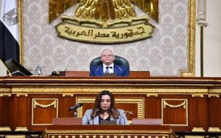 منال عوض أمام مجلس النواب: نسعي لتمكين الوحدات المحلية من إدارة التنمية الاقتصادية بفاعلية لتوفير فرص العمل