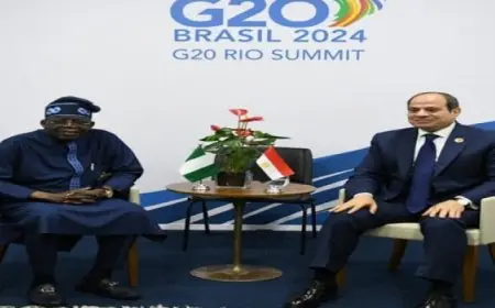 الرئيس السيسي يقابل نظيره النيجيري على هامش قمة مجموعة العشرين