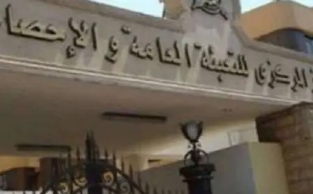 التعبئة والإحصاء: 39.5 مليون طفل في مصر وهو الرقم الأكبر بين الدول العربية