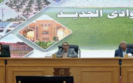رئيس الوزراء يعقد لقاء جماهيريا مع نواب البرلمان والعمداء والمشايخ بالمحافظة