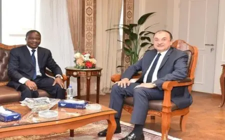 وزير قطاع الأعمال العام يبحث مع سفير كوت ديفوار بالقاهرة فرص تعزيز التعاون الاقتصادي والتجاري