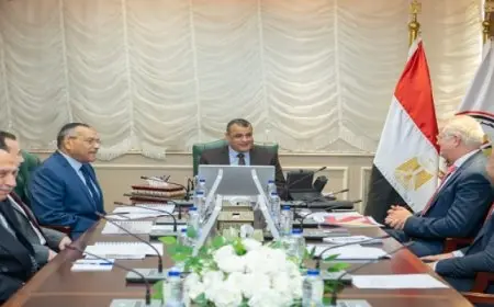 وزير الدولة للإنتاج الحربى يلتقى ممثلى ” جرين تك إيجيبت “